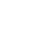Seat Logo Wit