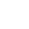 Cupra Logo wit